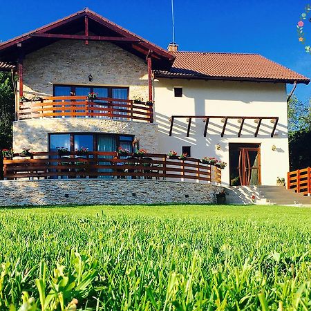 Pensiunea Casa Florela Capusu Mic Zewnętrze zdjęcie