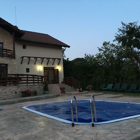 Pensiunea Casa Florela Capusu Mic Zewnętrze zdjęcie