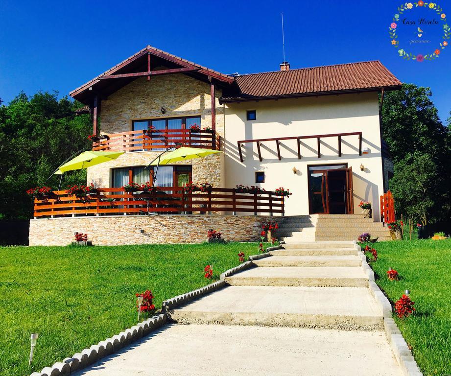Pensiunea Casa Florela Capusu Mic Zewnętrze zdjęcie